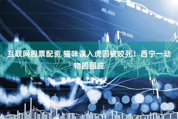 互联网股票配资 猫咪误入虎园被咬死！西宁一动物园回应